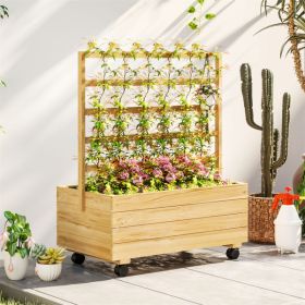 Raised Garden Bed/Garden Bed, Galvanized Planter (Color: as picture)