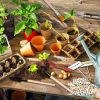 Outdoor & Indoor Usage 13PCS Mini Garden Planting Tool Set